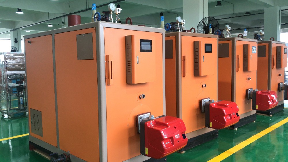 蒸汽发生器烘干桂圆的工艺与优势