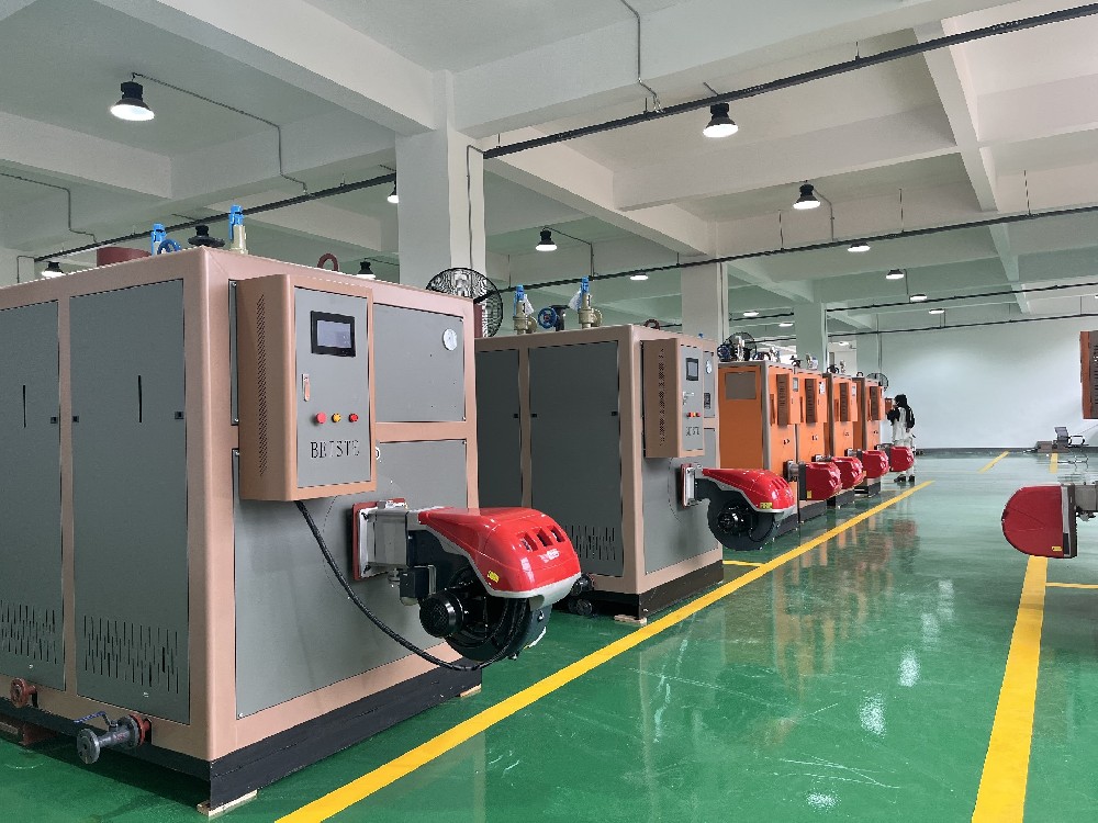 10MPa/600℃高温高压电加热蒸汽发生器用于大学实验室技术研究