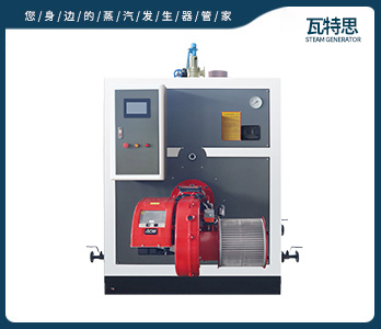 0.3T燃油蒸汽发生器