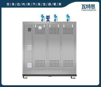 不锈钢蒸汽发生器