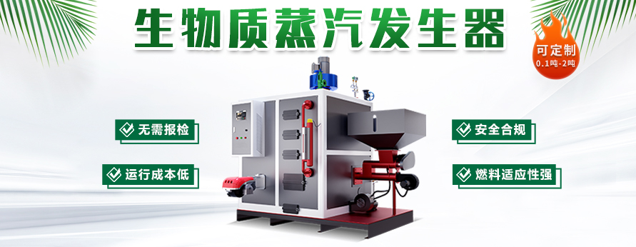0.3吨生物质蒸汽发生器